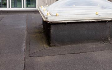 disadvantages of Eassie flat roofs