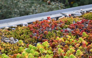 the cost of Eassie green roof installation