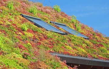 Eassie living roof systems