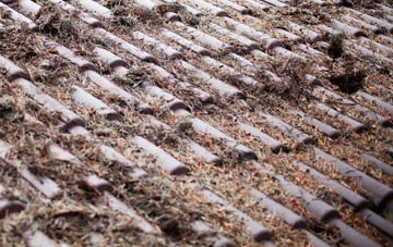 Eassie roof cleaning companies